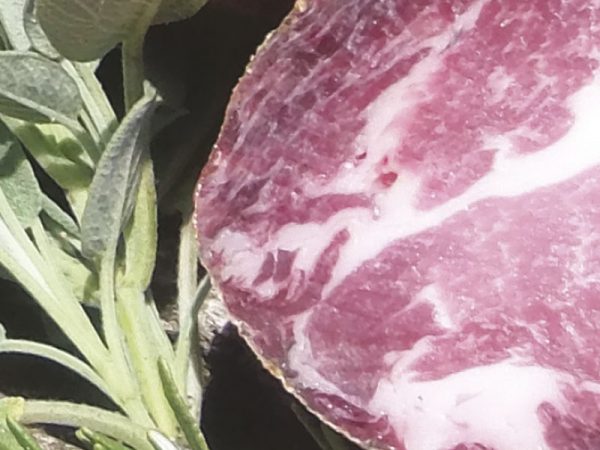 Capocollo
