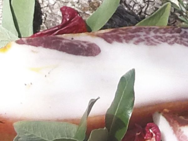 Lardo Bio
